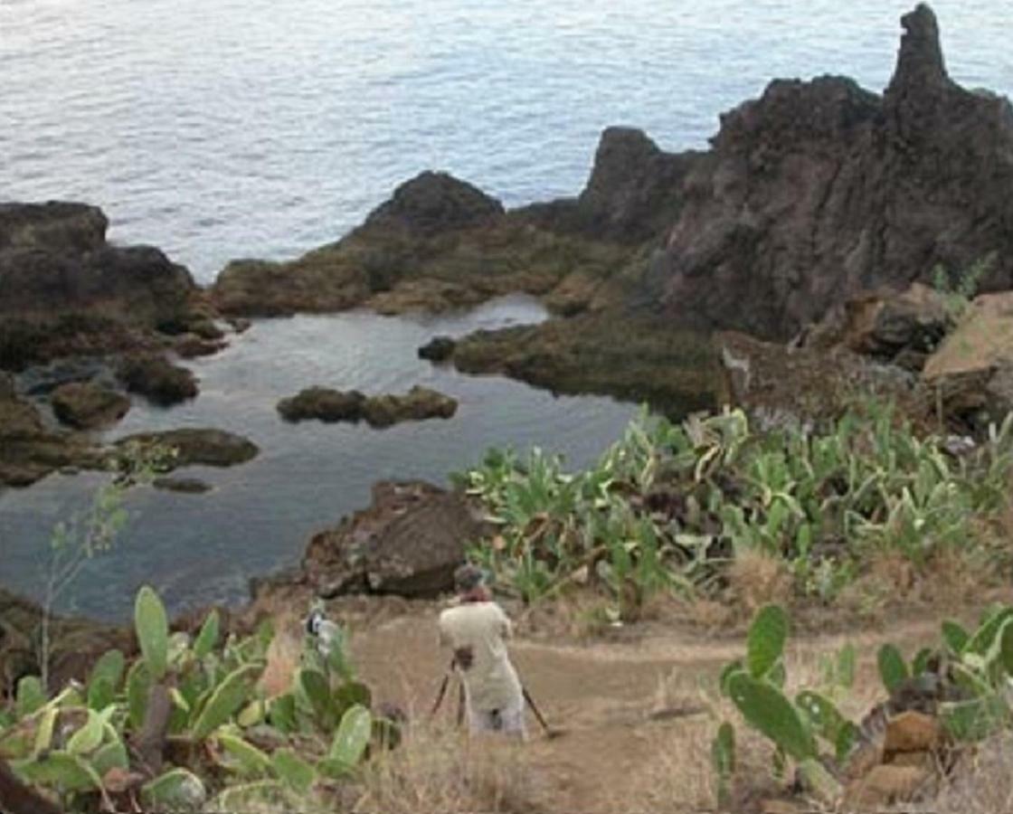 Un Balcon Sur La Mer Funchal  Exteriör bild